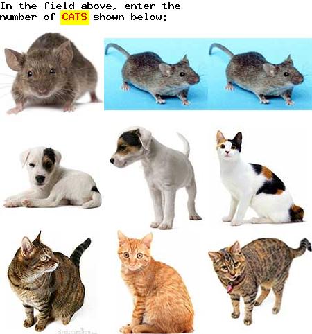 captcha to verify human, not robot