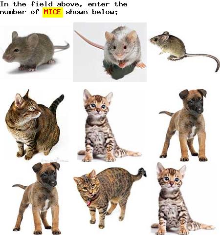 captcha to verify human, not robot