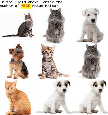 captcha to verify human, not robot